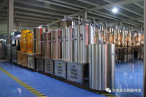 精酿啤酒设备与陶瓷生产专用设备的构造比较分析